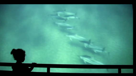 Still from Memories for the Future workshop participant Bonita Oliver’s Memory Is a Hungry Whale